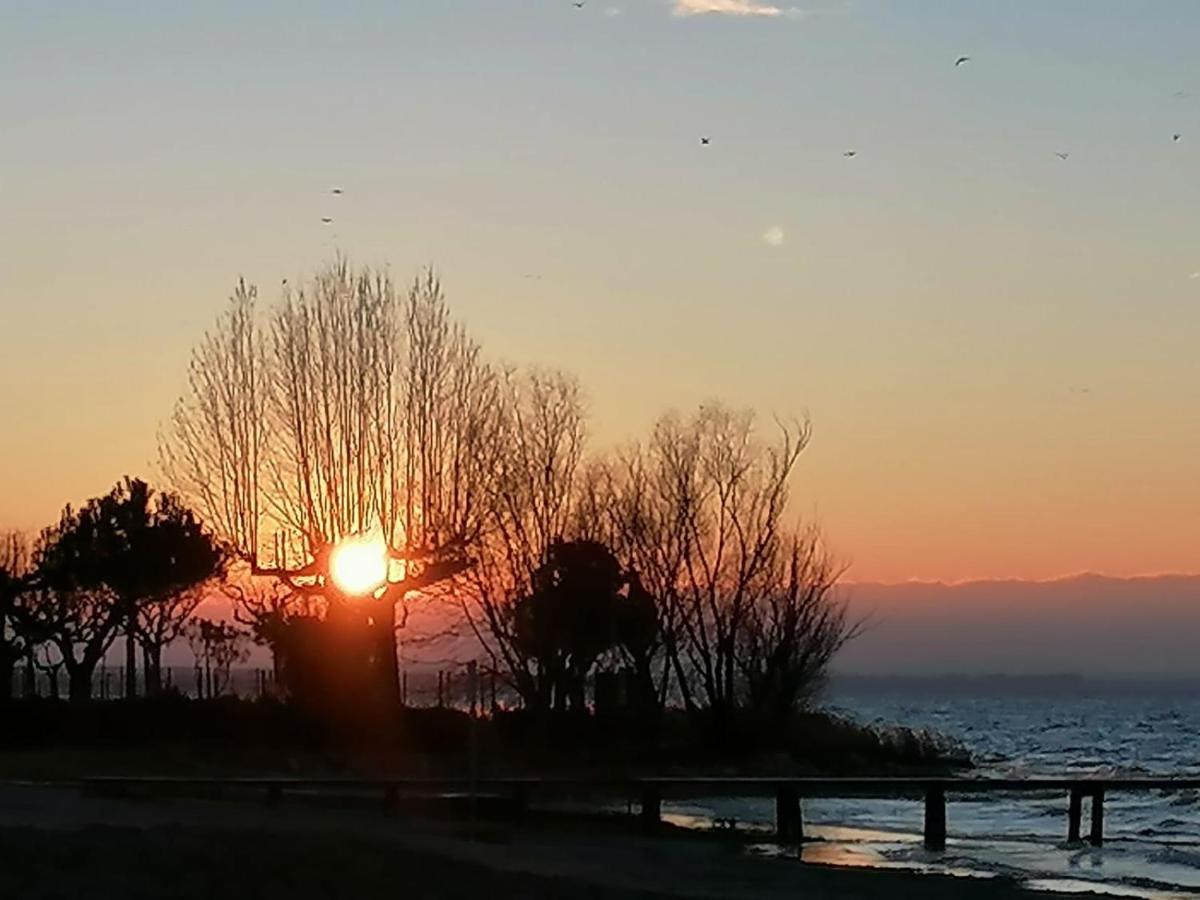 Villa La Magnolia - Private Beach Access, Garden, Views Lazise Luaran gambar